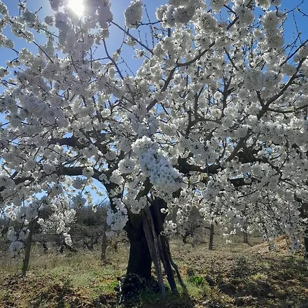 Duplex Ca Tio Celso San Esteban de la Sierra