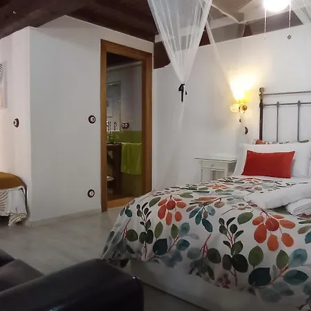 Duplex Ca Tio Celso *